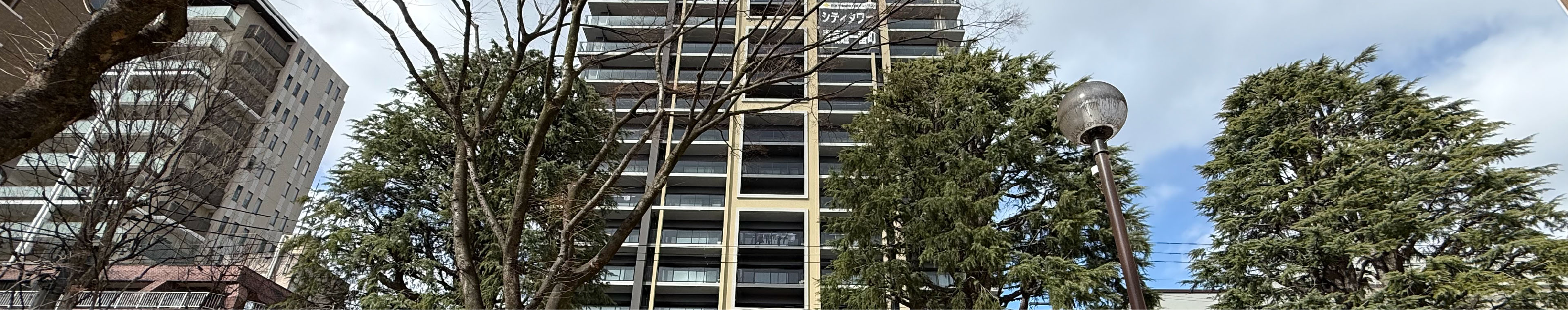 株式会社びけん